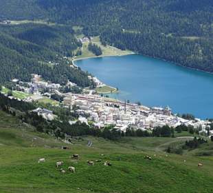 St.Moritz