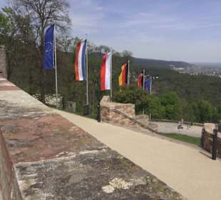 Schloss Hambach