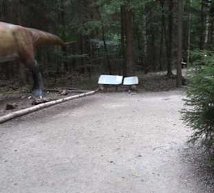 Dinosaurier Museum Altmühltal