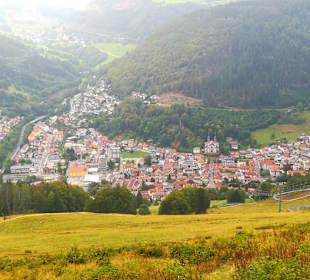 Wandern Todtnauberg