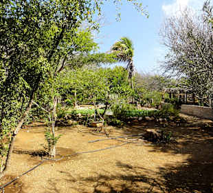 Impressionen vom Rundgang durch den Kräutergarten