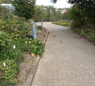 System der Pflanzen
