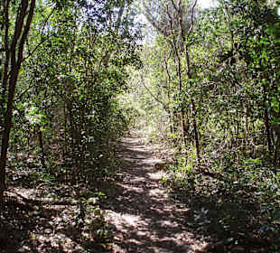 Unterwegs auf den Wanderwegen