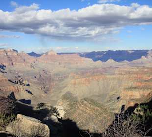 Grand Canyon N.P.