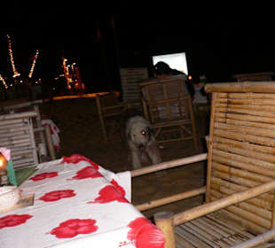 Schöne Sitzgelegenheit im Coconut