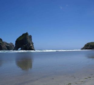 Wharariki Beach