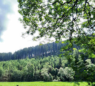 Wandern Bad Laasphe