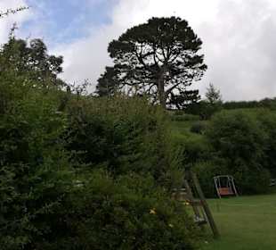 Hobbiton