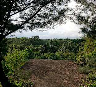 Landschaft im Gelände