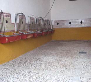 Plaza de Toros de la Maestranza