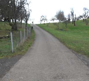 Birnenerlebnisweg Glems