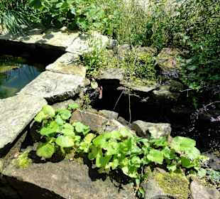Wasserlauf im Sinnesgarten