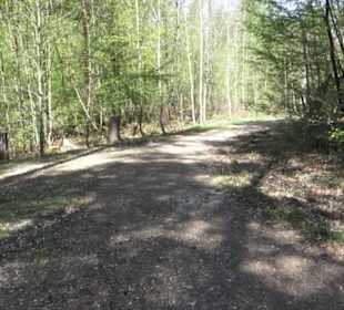 Wanderweg Hochgehwachsen