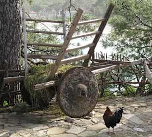 Ferien auf dem Bauernhof