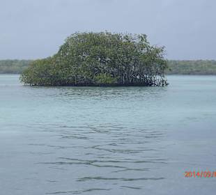 Auf dem Weg nach Saona