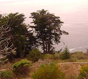 Район Биг-Сур. Парк Джулия Пфайфер Бернс