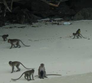 Am James Bond-Felsen