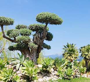 Sehit Fethi Bey Parkı