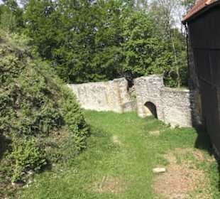 Burgruine Hohenrechberg