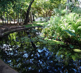 Spaziergang durch den Jardin de l'État