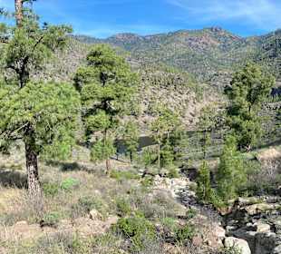 Wandern Playa del Ingles