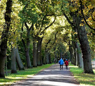 Herbstspaziergang durch den Bürgerpark Bremen