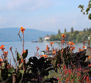 Von der Promenade aus auf den Bodensee