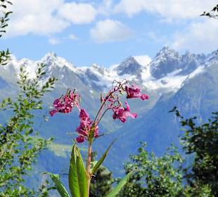 Wandern Ladis