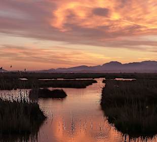 Sonnenuntergang am Albufera Park