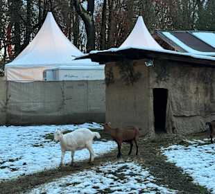 Auf dem Weihnachtsmarkt 