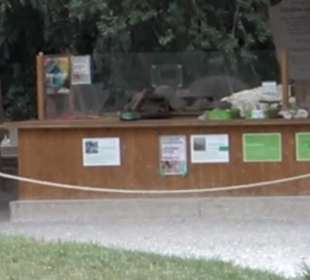 Dinosaurier Museum Altmühltal