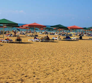 Beim Strandspaziergang