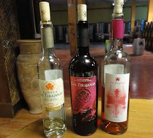 Bodega Las Tirajanas