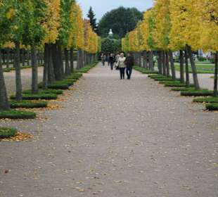 Park Dolny Peterhof