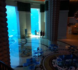 Aquarium vor dem Eingang des Kaleidoscope