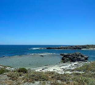 Rottnest Island