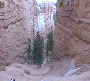 Bryce Canyon NP