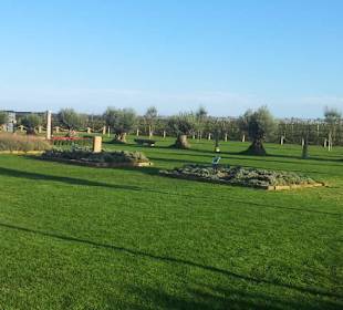 Mas Guso, Sant Pere Pescador