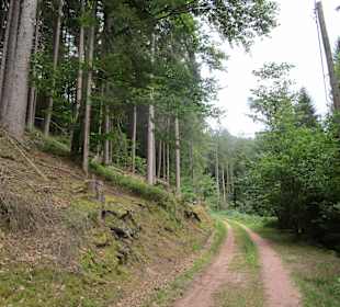  Wanderweg Helmbachweiher - Hornesselwiese