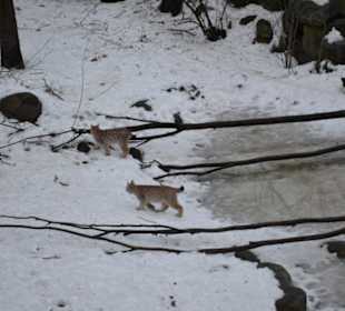 Freilichtmuseum Skansen