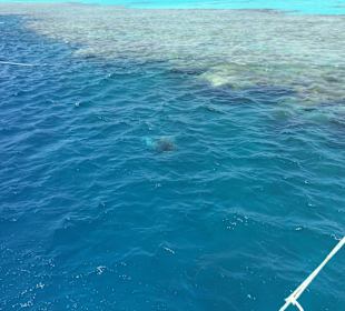 Schnorcheln Abu Soma