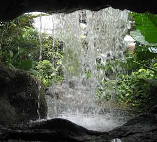 Der Park unter dem Riesenrad