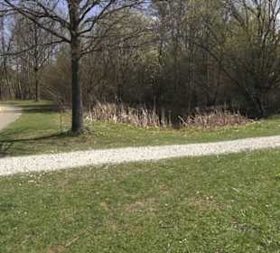 Sport- und Freizeitpark Markwasen