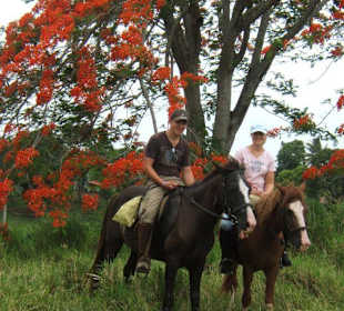 Reiten in den Bergen...