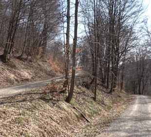 Geologischer Lehrpfad Kirnbachtal