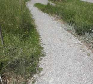 Botanischer Garten der Universität Zürich