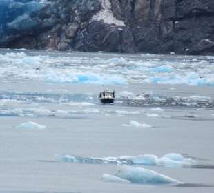 MS Zaandam befährt den Tracy Arm Fjord