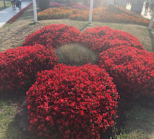 Stadtrundgang Miedzyzdroje