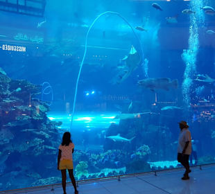 Aqaurium Aussenansicht