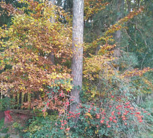 Wandern Bad Schönau
